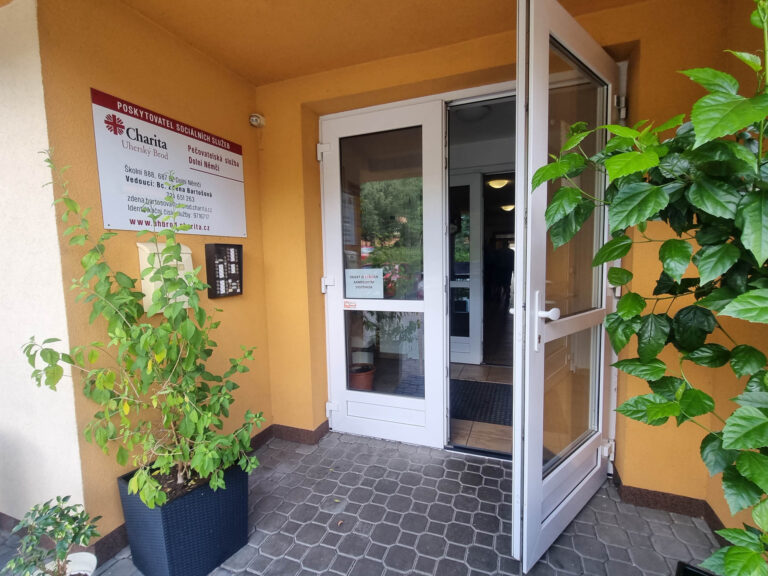 Starostlivosť o klienta v domácom prostredí z pohľadu sociálnej práce